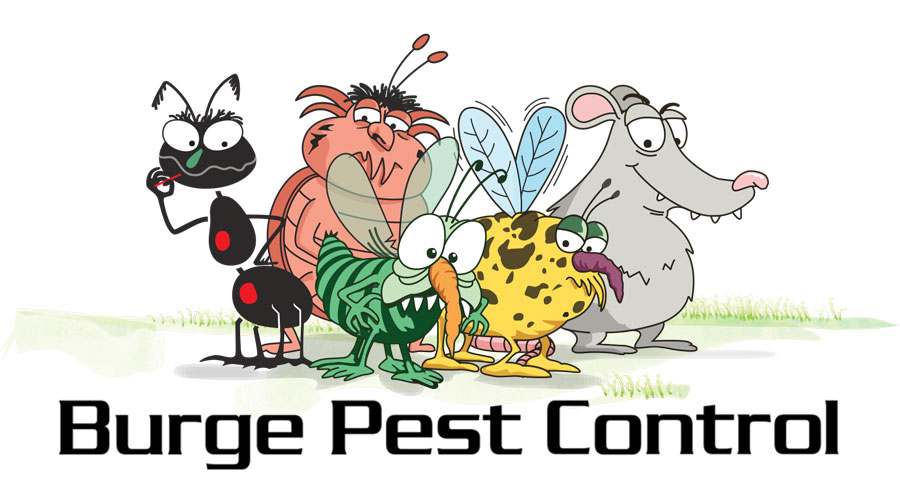 Do organic pest control services northernvirginiamag.com